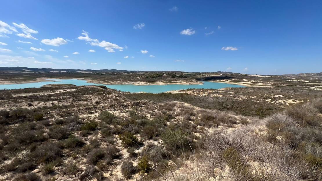 Venta - Finca / Country Property - Orihuela - Torremendo