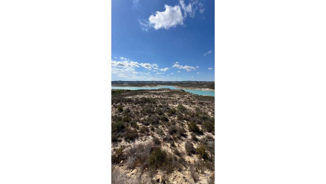 Venta - Finca / Country Property - Orihuela - Torremendo