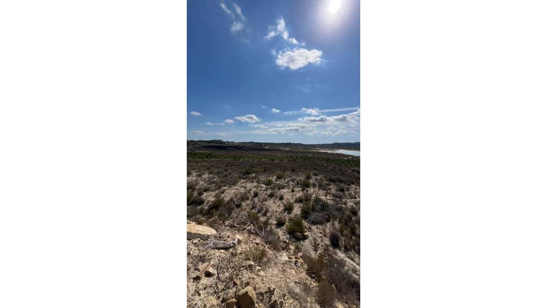 Venta - Finca / Country Property - Orihuela - Torremendo