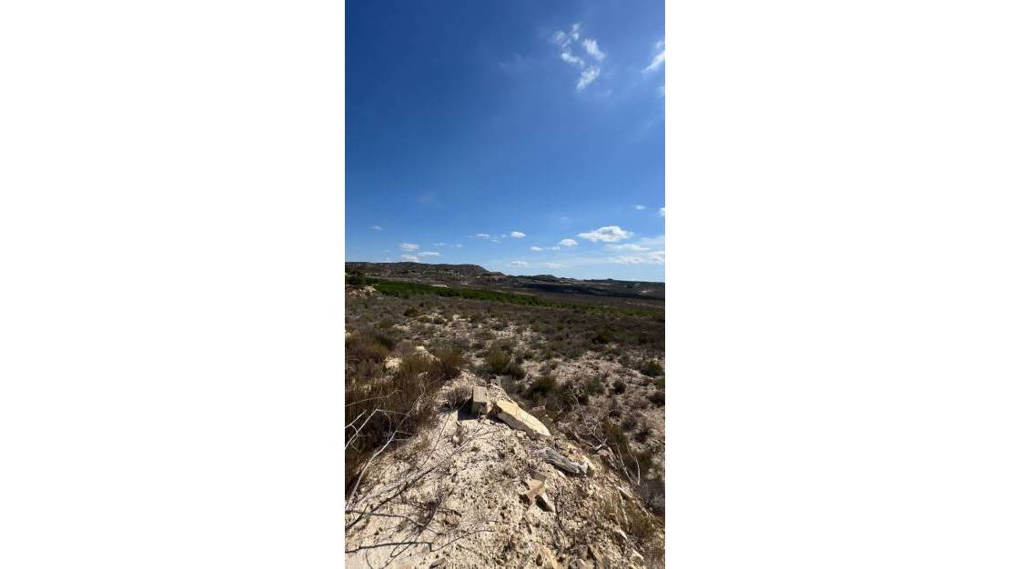 Venta - Finca / Country Property - Orihuela - Torremendo