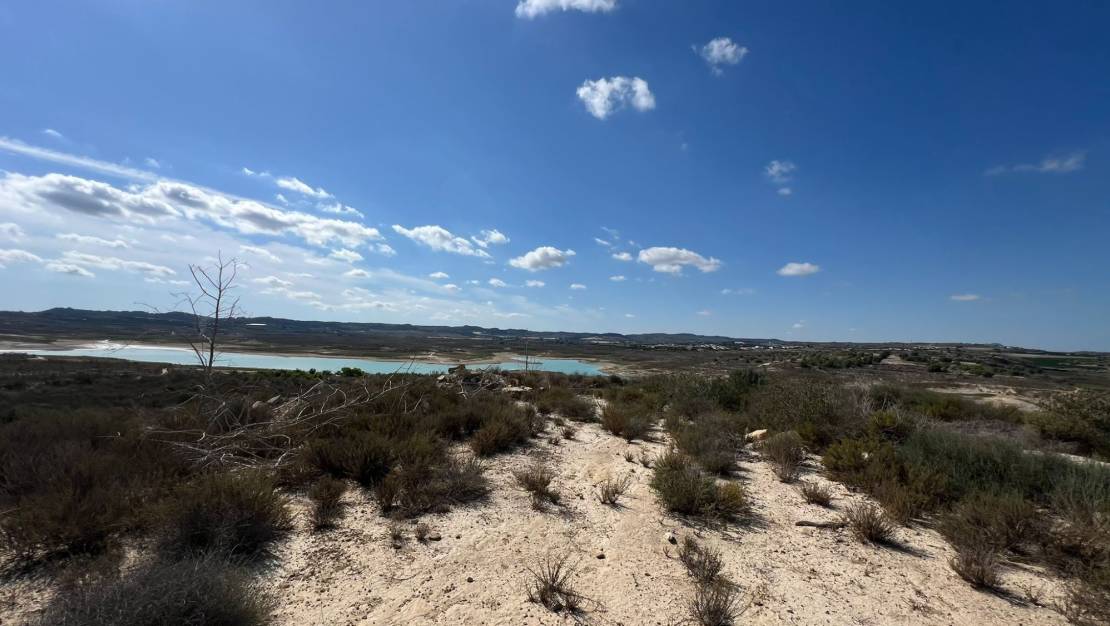 Venta - Finca / Country Property - Orihuela - Torremendo