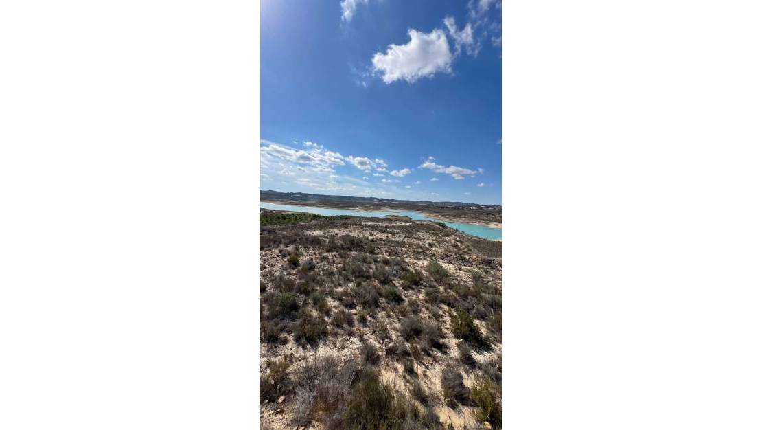 Venta - Finca / Country Property - Orihuela - Torremendo