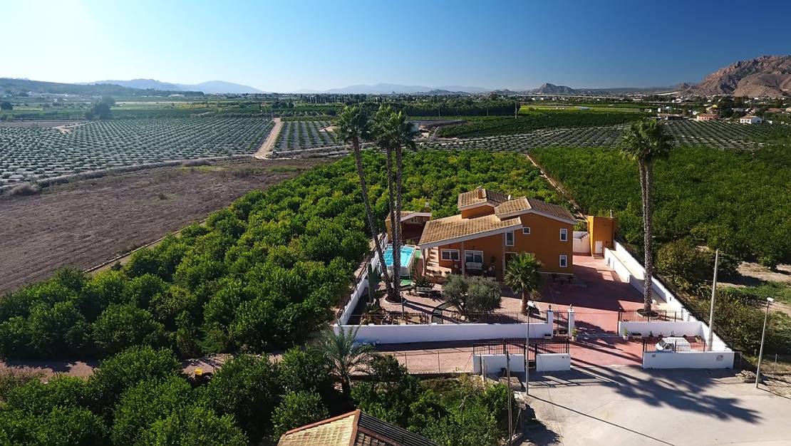 Venta - Finca - Orihuela - Correntías Medias