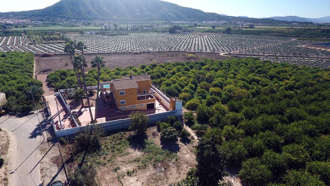 Venta - Finca - Orihuela - Correntías Medias