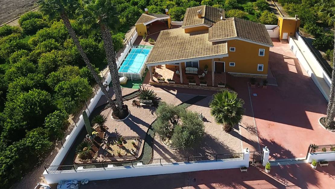 Venta - Finca - Orihuela - Correntías Medias