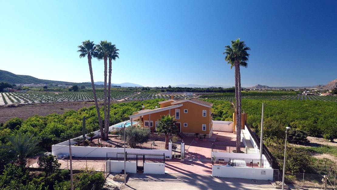 Venta - Finca - Orihuela - Correntías Medias