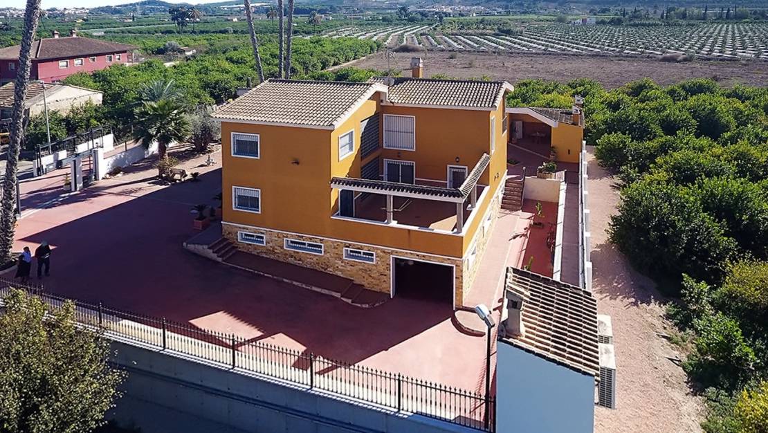 Venta - Finca - Orihuela - Correntías Medias