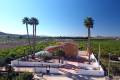 Venta - Finca - Orihuela