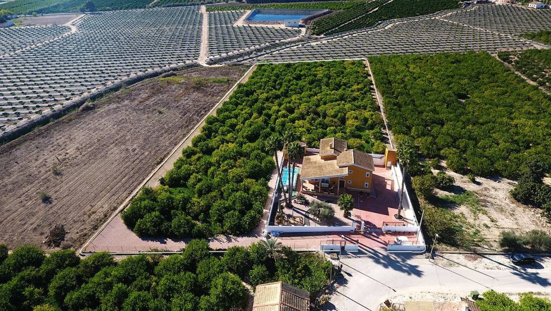 Venta - Finca - Orihuela