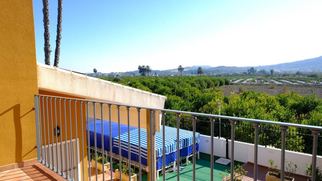 Venta - Finca - Orihuela