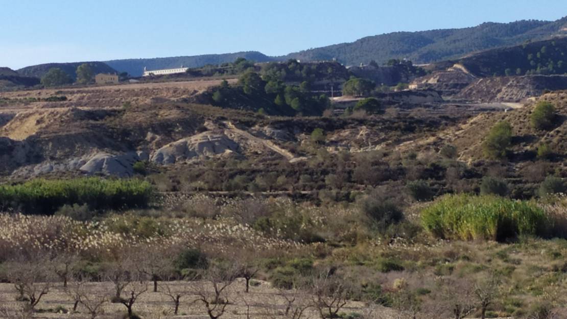 Venta - Finca - San Miguel de Salinas - San Miguel de Salinas Alicante