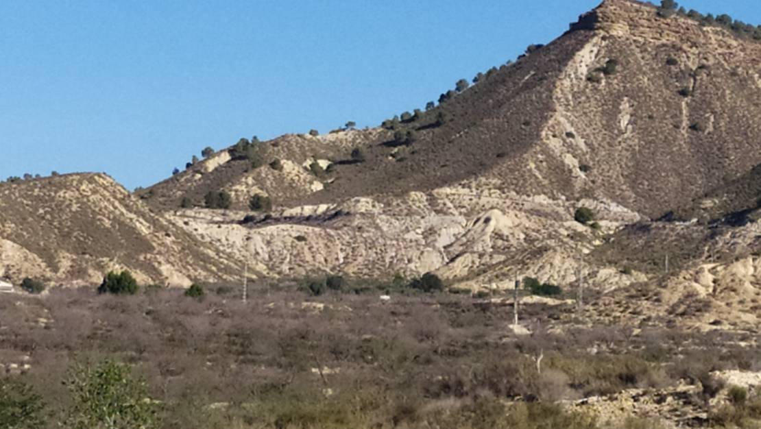 Venta - Finca - San Miguel de Salinas - San Miguel de Salinas Alicante