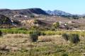 Venta - Finca - San Miguel de Salinas - San Miguel de Salinas Alicante