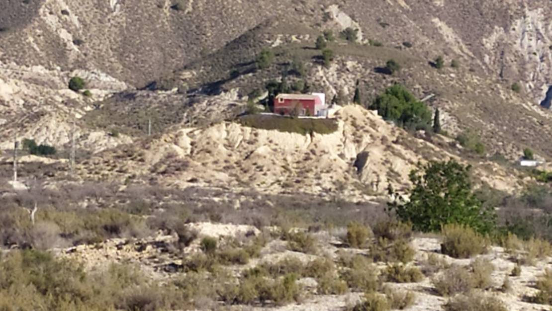 Venta - Finca - San Miguel de Salinas - San Miguel de Salinas Alicante