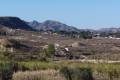Venta - Finca - San Miguel de Salinas - San Miguel de Salinas Alicante