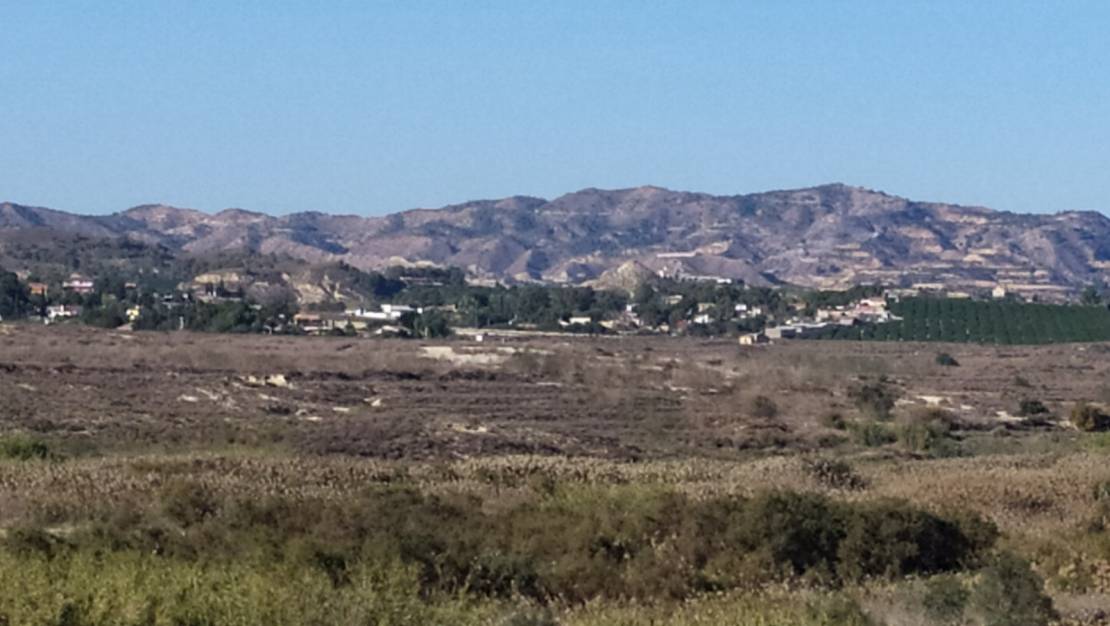 Venta - Finca - San Miguel de Salinas - San Miguel de Salinas Alicante