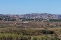 Venta - Finca - San Miguel de Salinas - San Miguel de Salinas Alicante