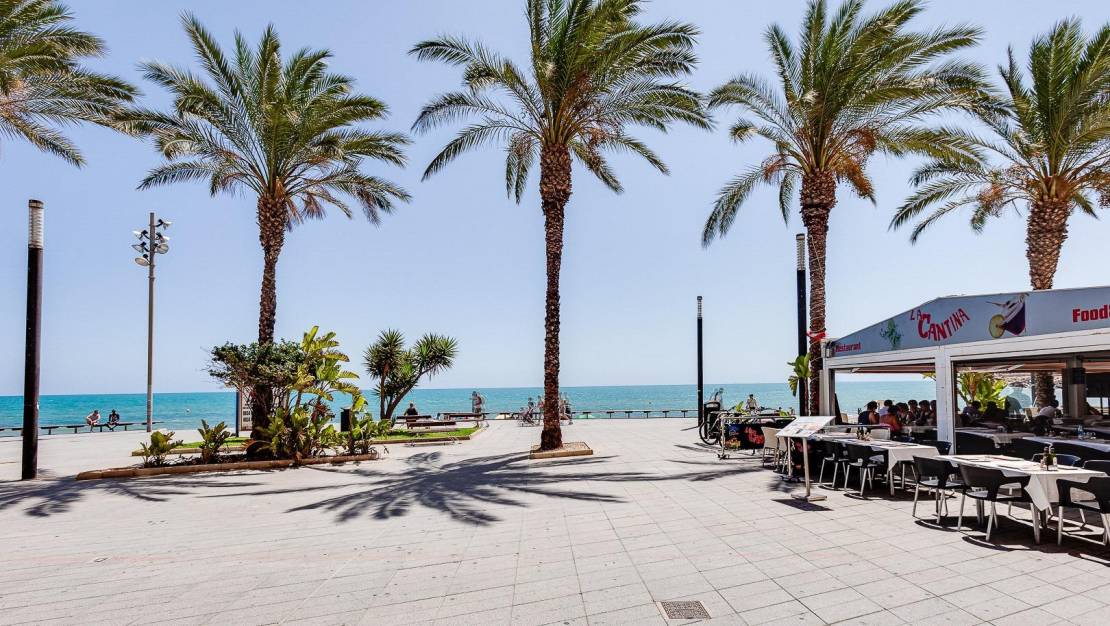 Venta - Flat - Torrevieja - Centro