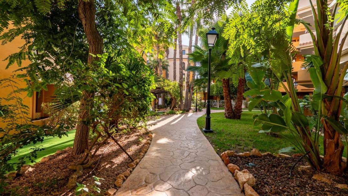 Venta - Flat - Torrevieja - Punta prima