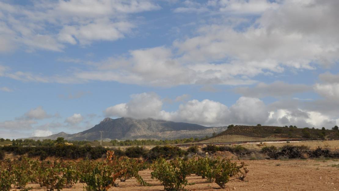 Venta - Garaje - Jumilla - Jumilla Centro