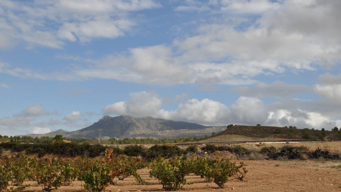 Venta - Garaje - Jumilla - Jumilla Centro