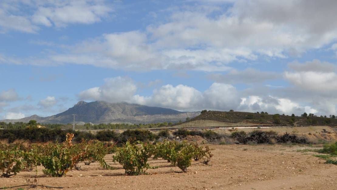 Venta - Garaje - Jumilla - Jumilla Centro