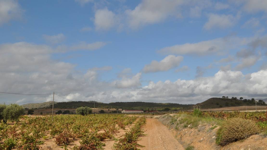 Venta - Garaje - Jumilla - Jumilla Centro