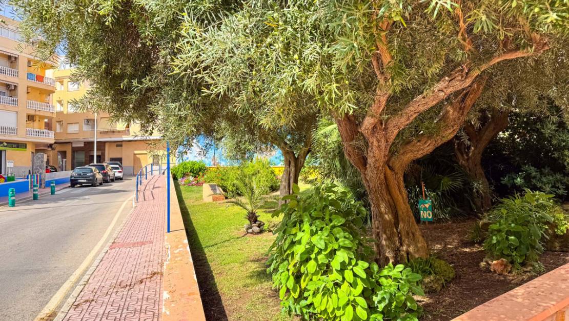 Venta - Garaje - Torrevieja - La Mata