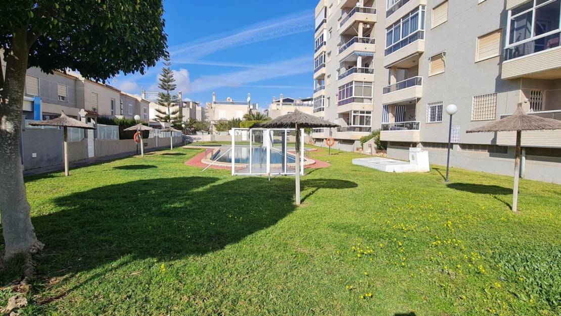 Venta - House - Torrevieja - Aguas Nuevas