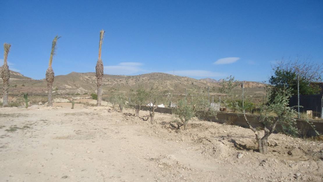 Venta - Land - Abanilla - Abanilla Centro