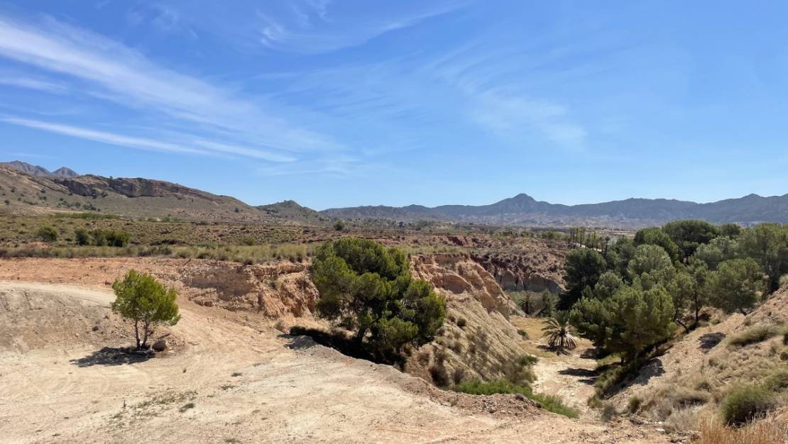 Venta - Land - Abanilla - Abanilla Centro