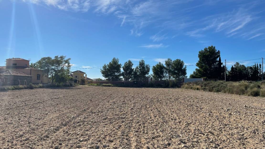 Venta - Land - Abanilla - Abanilla Centro