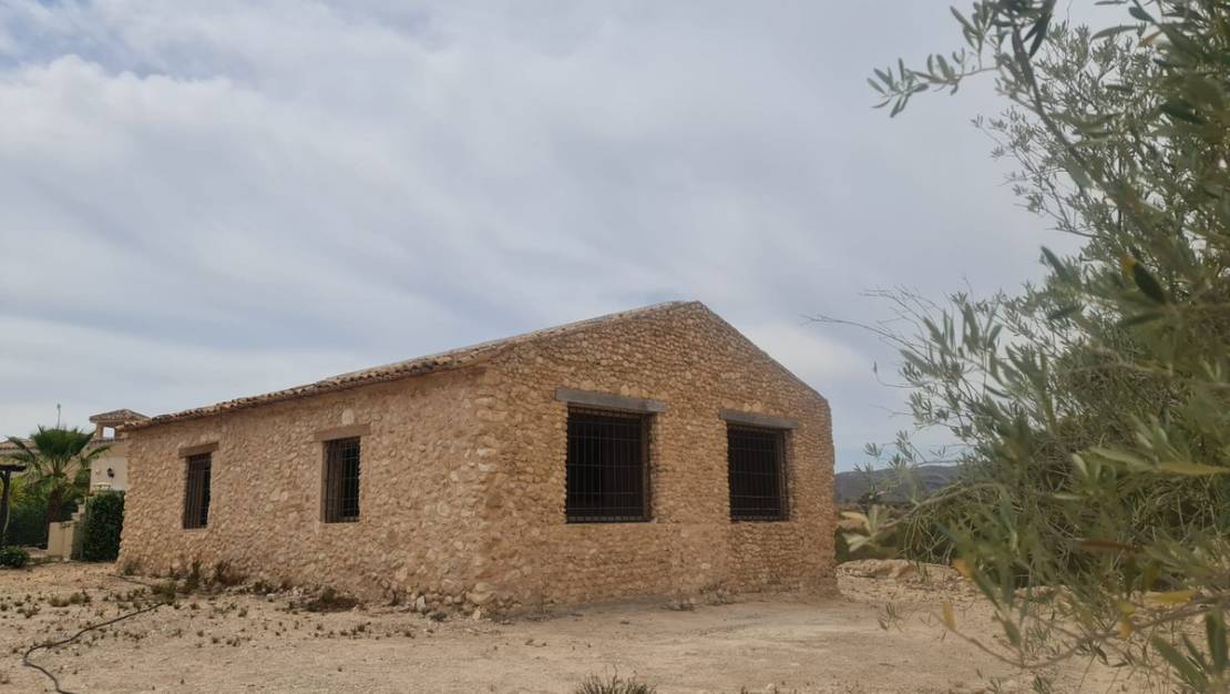 Venta - Land - Abanilla - Abanilla Centro