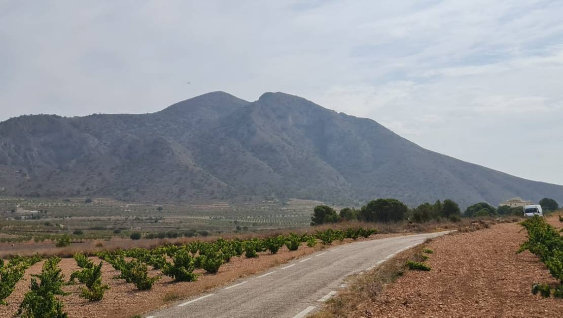 Venta - Land - Abanilla - Abanilla Centro