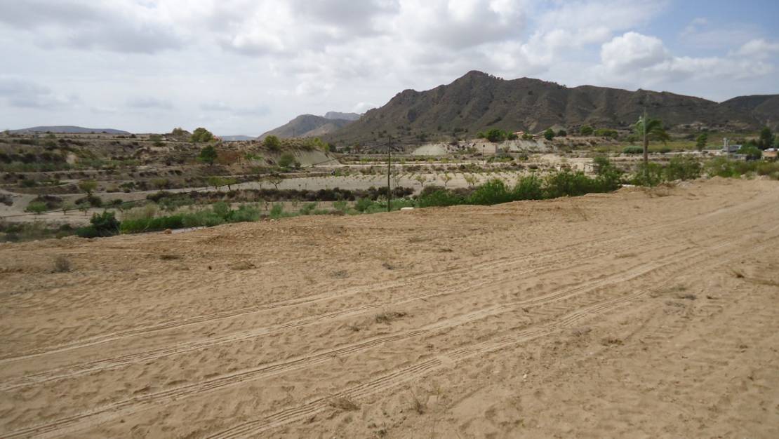 Venta - Land - Abanilla - Abanilla Centro