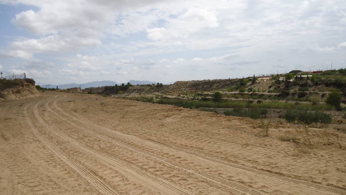 Venta - Land - Abanilla - Abanilla Centro