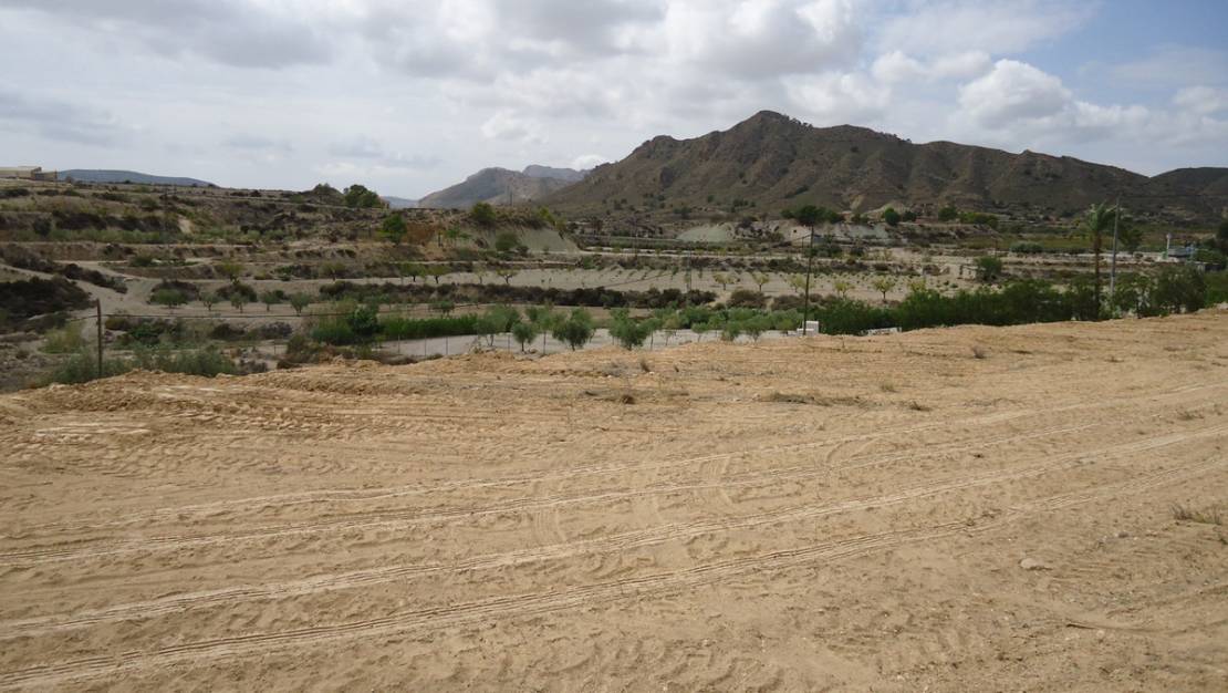 Venta - Land - Abanilla - Abanilla Centro