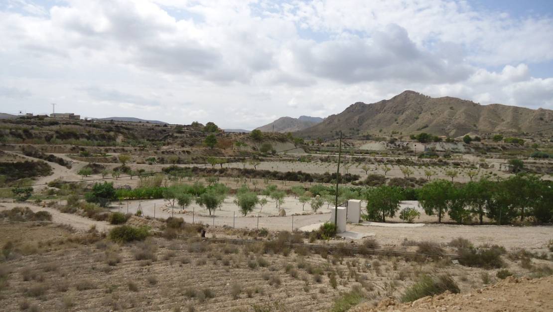 Venta - Land - Abanilla - Abanilla Centro