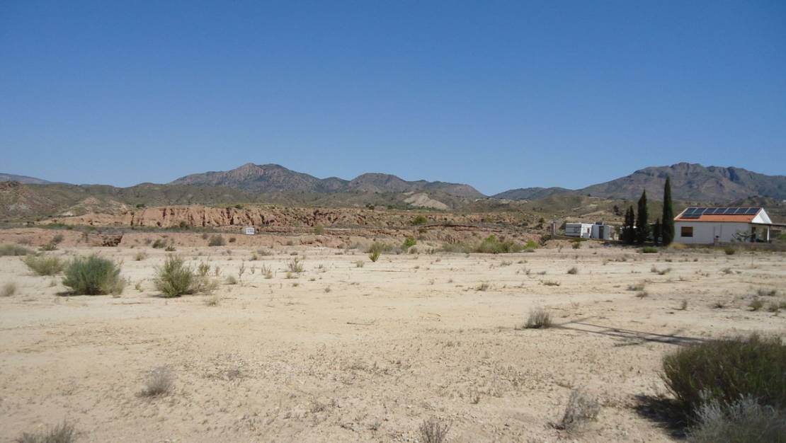 Venta - Land - Abanilla - Abanilla Centro