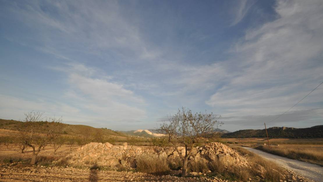 Venta - Land - Abanilla - Abanilla Centro