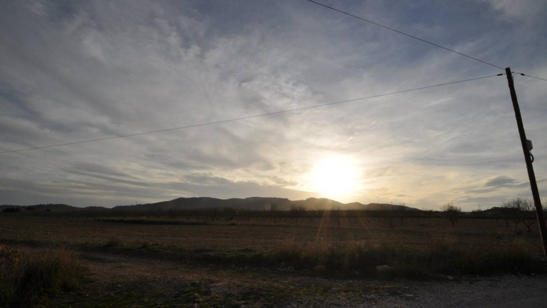 Venta - Land - Abanilla - Abanilla Centro