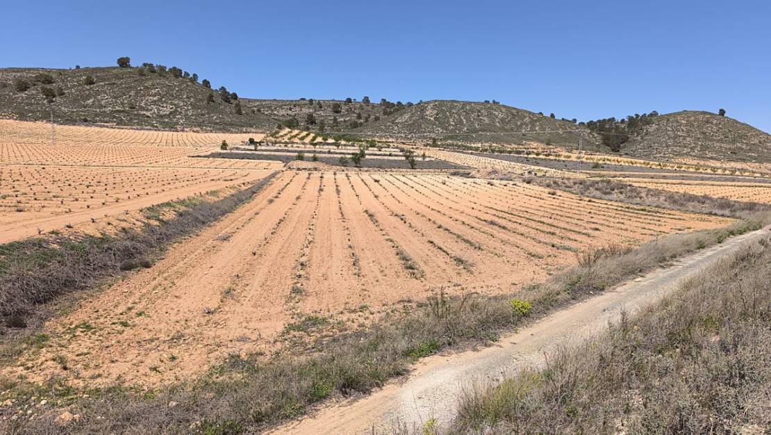 Venta - Land - Abanilla - Abanilla Centro