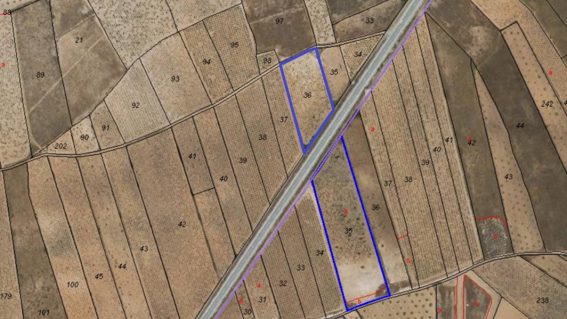 Venta - Land - Abanilla - Abanilla Centro