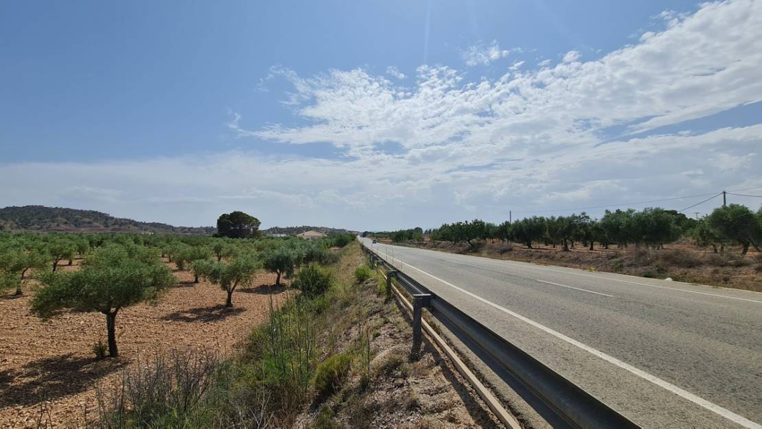 Venta - Land - Abanilla - Abanilla Centro