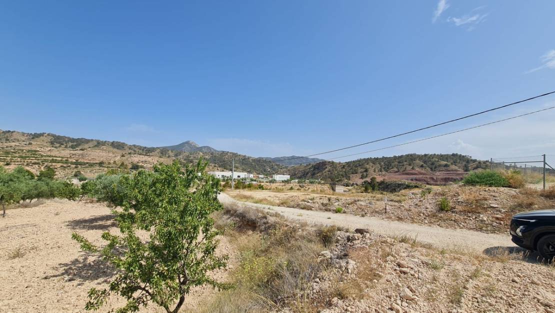 Venta - Land - Abanilla - Abanilla Centro