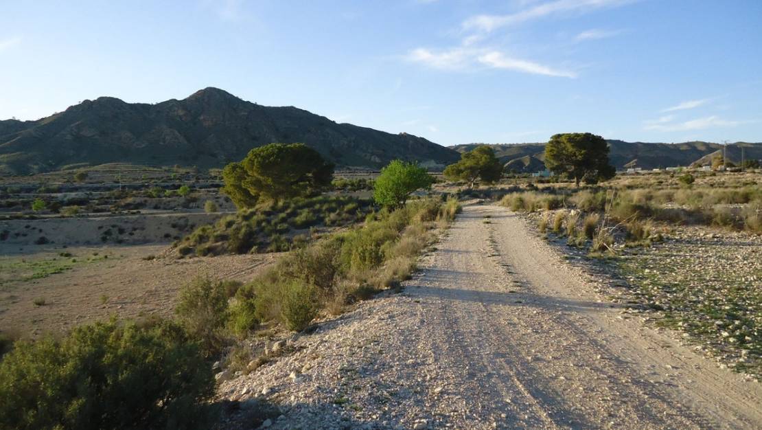 Venta - Land - Abanilla - Abanilla Centro