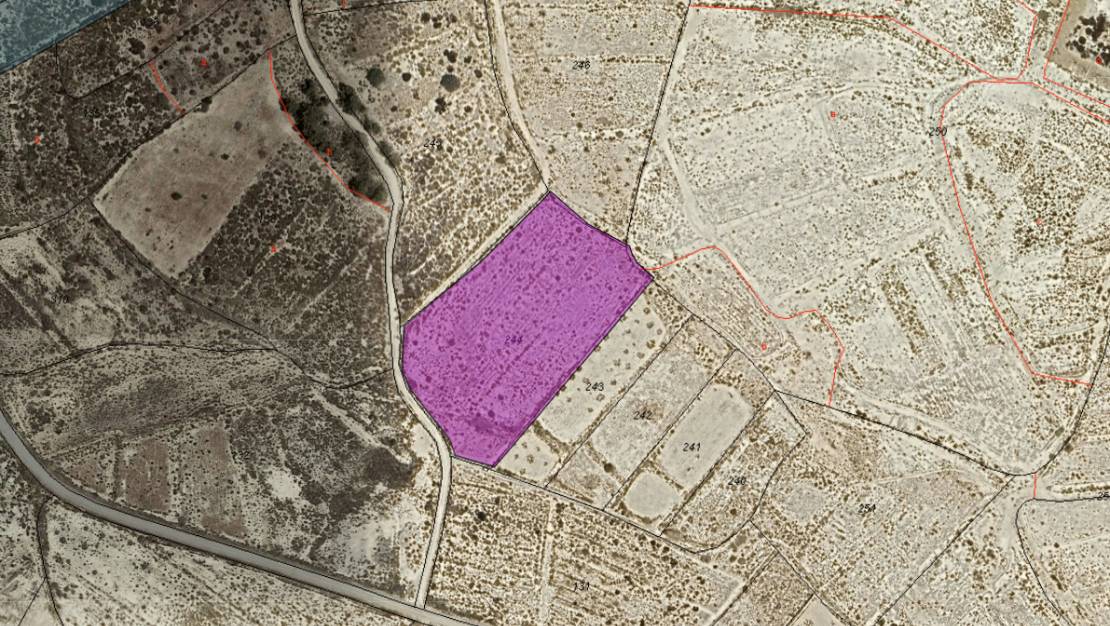 Venta - Land - Abanilla - Abanilla Centro