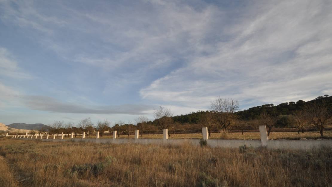 Venta - Land - Abanilla - Canada De La Lena