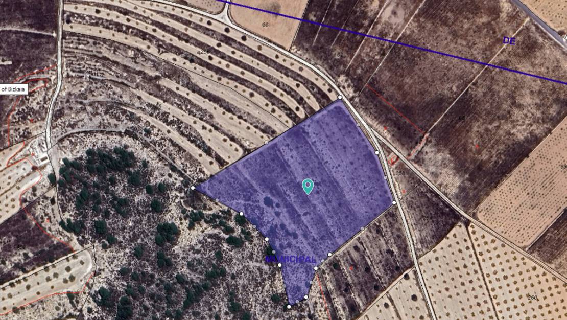 Venta - Land - Abanilla - Canada De La Lena