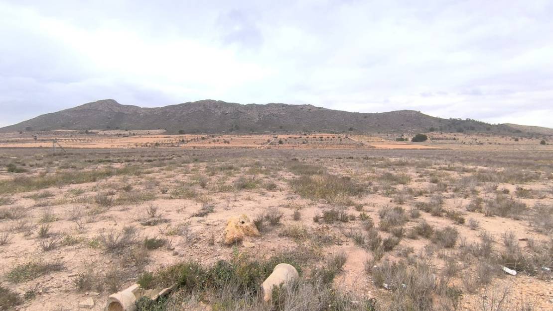 Venta - Land - Abanilla - Canada De La Lena